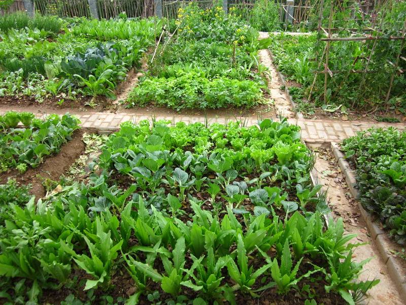 九游APP官网案例展示五