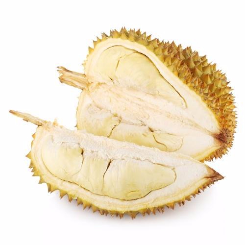 九游APP官网产品名称二