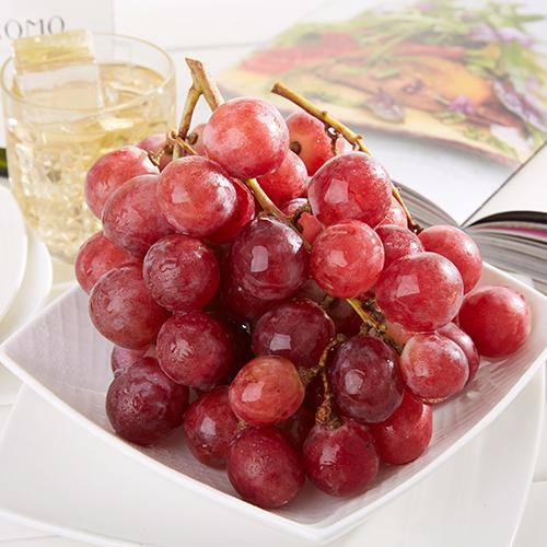 九游APP官网产品名称五